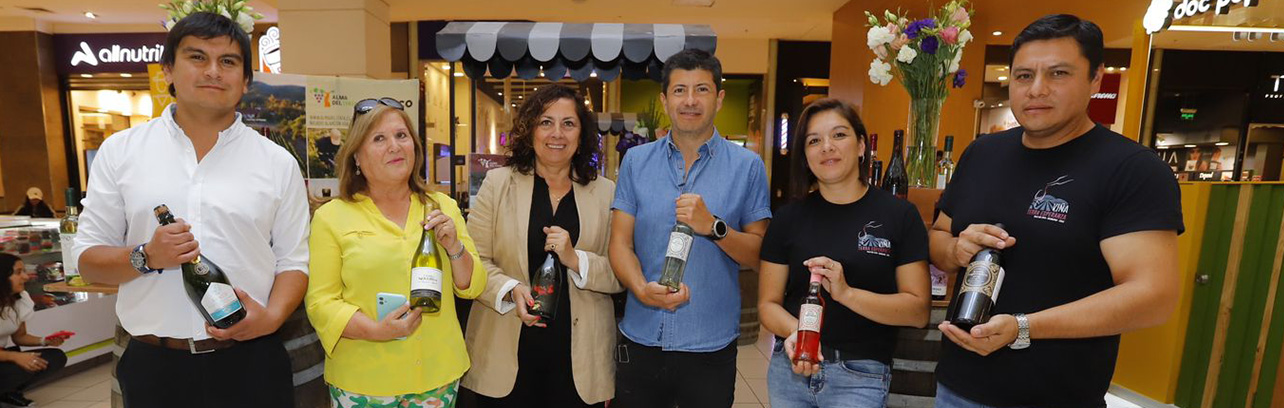 Fotografía de viñateros del valle del itata presentando sus vinos